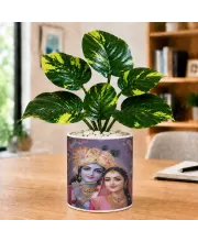 Artificial Tree Ceramic Photo Pot With White Stones 3x4 Inch (F164949)