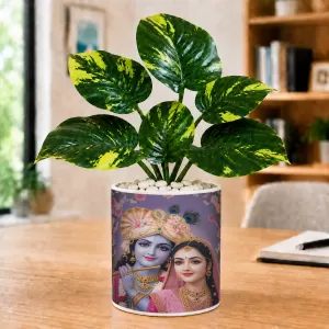 Artificial Tree Ceramic Photo Pot With White Stones 3x4 Inch (F164949) Artificial Tree Ceramic Photo Pot With White Stones 3x4 Inch (F164949)