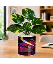 Artificial Tree Ceramic Photo Pot With White Stones 3x4 Inch (F164953)