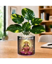 Artificial Tree Ceramic Photo Pot With White Stones 3x4 Inch (F164954)