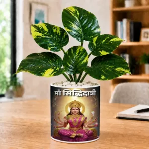Artificial Tree Ceramic Photo Pot With White Stones 3x4 Inch (F164954) Artificial Tree Ceramic Photo Pot With White Stones 3x4 Inch (F164954)