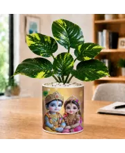Artificial Tree Ceramic Photo Pot With White Stones 3x4 Inch (F164958)