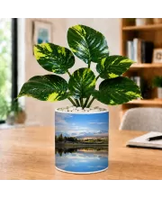 Artificial Tree Ceramic Photo Pot With White Stones 3x4 Inch (F164963)