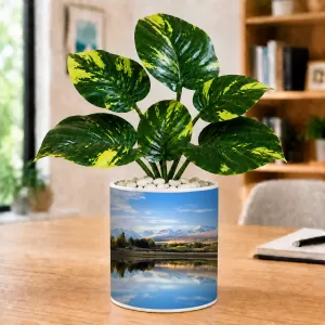 Artificial Tree Ceramic Photo Pot With White Stones 3x4 Inch (F164963) Artificial Tree Ceramic Photo Pot With White Stones 3x4 Inch (F164963)