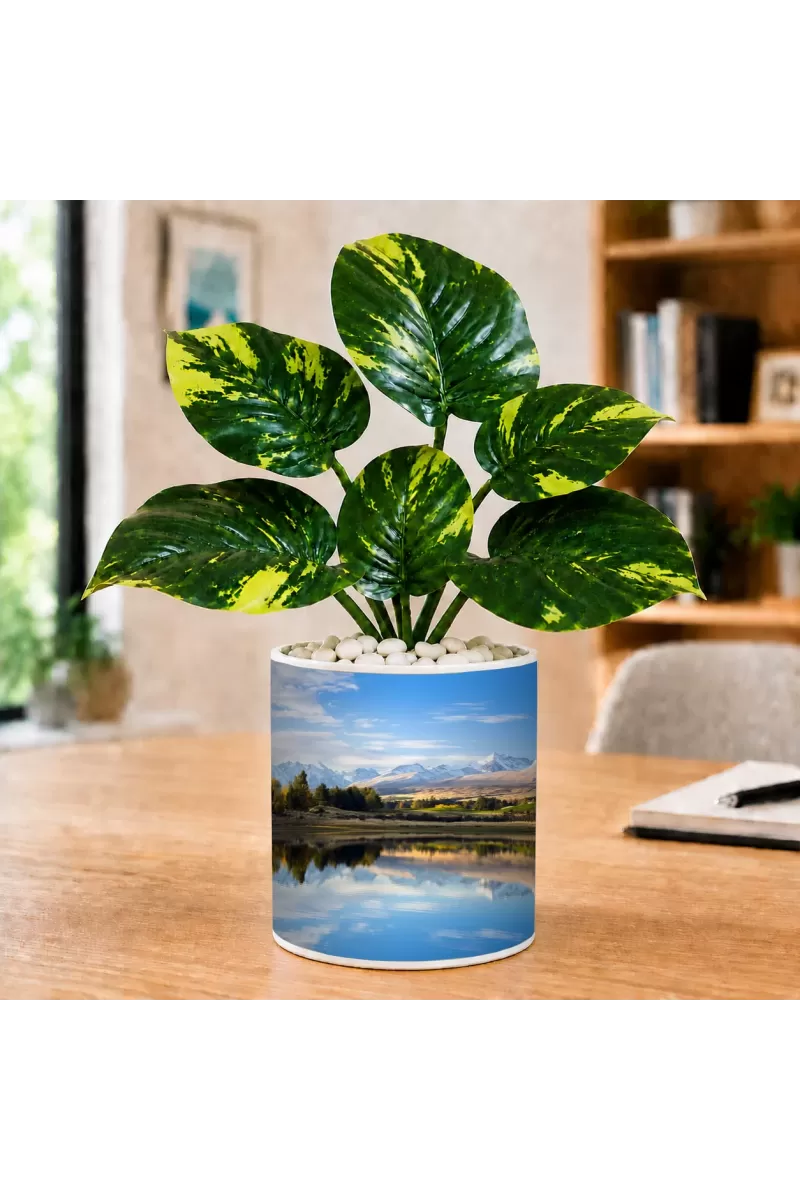 Artificial Tree Ceramic Photo Pot With White Stones 3x4 Inch (F164963)