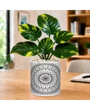 Artificial Tree Ceramic Photo Pot With White Stones 3x4 Inch (F164971)