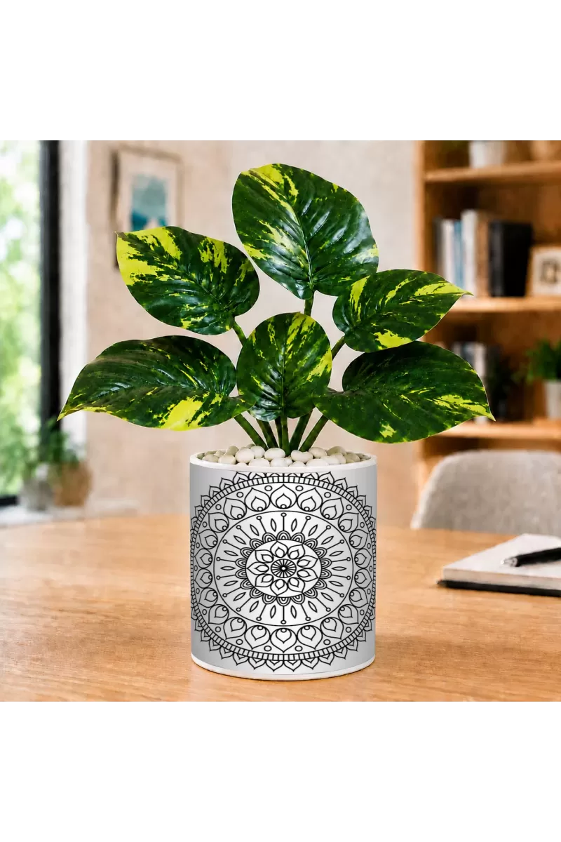Artificial Tree Ceramic Photo Pot With White Stones 3x4 Inch (F164971)