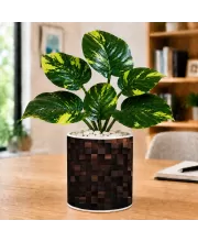 Artificial Tree Ceramic Photo Pot With White Stones 3x4 Inch (F164974)
