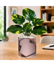 Artificial Tree Ceramic Photo Pot With White Stones 3x4 Inch (F164975)