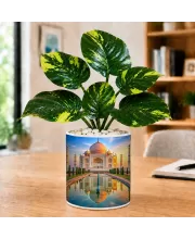 Artificial Tree Ceramic Photo Pot With White Stones 3x4 Inch (F164980)