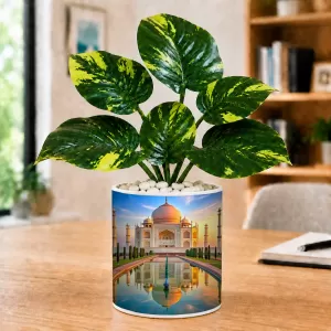 Artificial Tree Ceramic Photo Pot With White Stones 3x4 Inch (F164980) Artificial Tree Ceramic Photo Pot With White Stones 3x4 Inch (F164980)