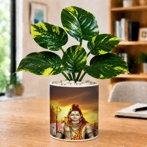 Artificial Tree Ceramic Photo Pot With White Stones 3x4 Inch (F164981) Artificial Tree Ceramic Photo Pot With White Stones 3x4 Inch (F164981)