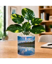 Artificial Tree Ceramic Photo Pot With White Stones 3x4 Inch (F164983)
