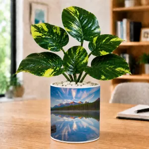 Artificial Tree Ceramic Photo Pot With White Stones 3x4 Inch (F164983) Artificial Tree Ceramic Photo Pot With White Stones 3x4 Inch (F164983)