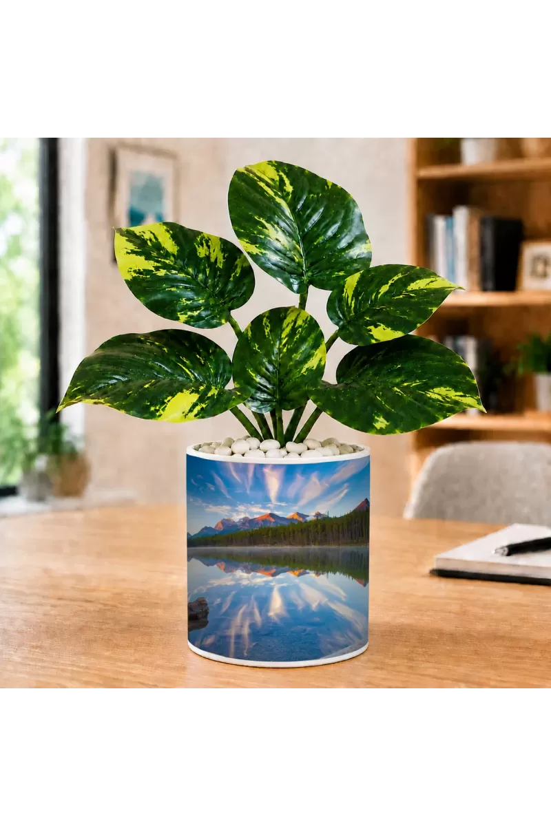 Artificial Tree Ceramic Photo Pot With White Stones 3x4 Inch (F164983)
