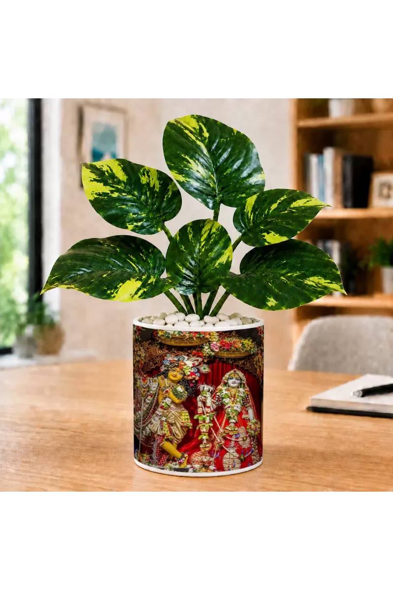 Artificial Tree Ceramic Photo Pot With White Stones 3x4 Inch (F164986)