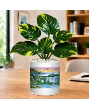 Artificial Tree Ceramic Photo Pot With White Stones 3x4 Inch (F164989)
