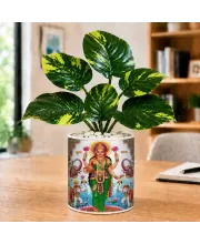 Artificial Tree Ceramic Photo Pot With White Stones 3x4 Inch (F164993)
