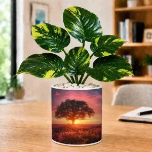 Artificial Tree Ceramic Photo Pot With White Stones 3x4 Inch (F165013) Artificial Tree Ceramic Photo Pot With White Stones 3x4 Inch (F165013)