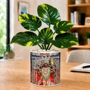 Artificial Tree Ceramic Photo Pot With White Stones 3x4 Inch (F165016) Artificial Tree Ceramic Photo Pot With White Stones 3x4 Inch (F165016)