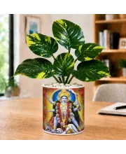 Artificial Tree Ceramic Photo Pot With White Stones 3x4 Inch (F165017)