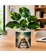 Artificial Tree Ceramic Photo Pot With White Stones 3x4 Inch (F165023)