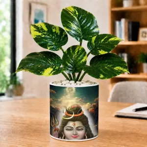 Artificial Tree Ceramic Photo Pot With White Stones 3x4 Inch (F165023)