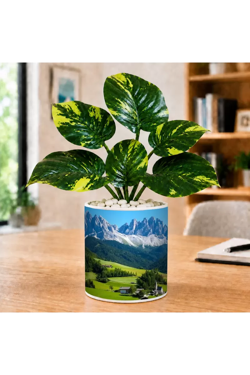 Artificial Tree Ceramic Photo Pot With White Stones 3x4 Inch (F165029)
