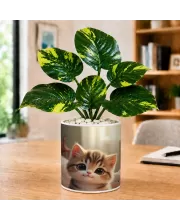 Artificial Tree Ceramic Photo Pot With White Stones 3x4 Inch (F165031)