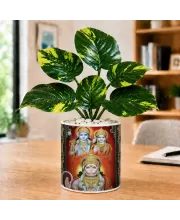Artificial Tree Ceramic Photo Pot With White Stones 3x4 Inch (F165034)