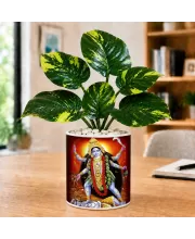 Artificial Tree Ceramic Photo Pot With White Stones 3x4 Inch (F165055)
