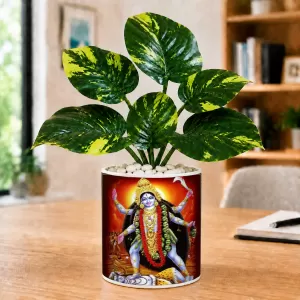 Artificial Tree Ceramic Photo Pot With White Stones 3x4 Inch (F165055) Artificial Tree Ceramic Photo Pot With White Stones 3x4 Inch (F165055)