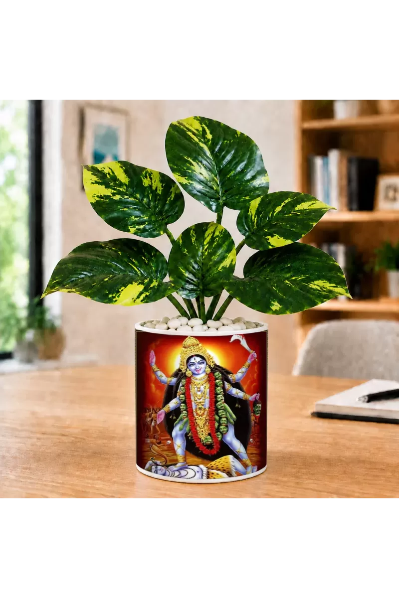 Artificial Tree Ceramic Photo Pot With White Stones 3x4 Inch (F165055)