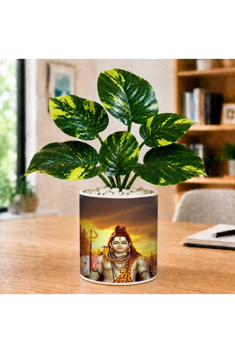 Artificial Tree Ceramic Photo Pot With White Stones 3x4 Inch (F165056)