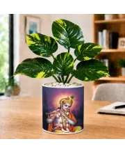 Artificial Tree Ceramic Photo Pot With White Stones 3x4 Inch (F165058)