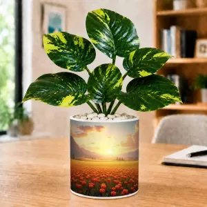 Artificial Tree Ceramic Photo Pot With White Stones 3x4 Inch (F165059)