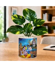 Artificial Tree Ceramic Photo Pot With White Stones 3x4 Inch (F165069)