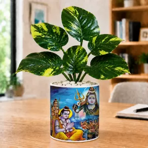 Artificial Tree Ceramic Photo Pot With White Stones 3x4 Inch (F165069) Artificial Tree Ceramic Photo Pot With White Stones 3x4 Inch (F165069)