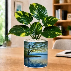 Artificial Tree Ceramic Photo Pot With White Stones 3x4 Inch (F165078) Artificial Tree Ceramic Photo Pot With White Stones 3x4 Inch (F165078)