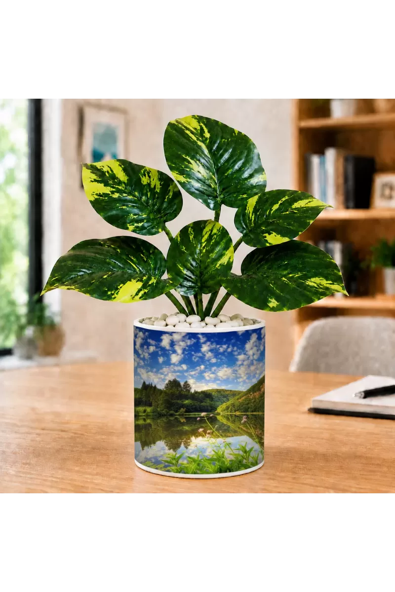 Artificial Tree Ceramic Photo Pot With White Stones 3x4 Inch (F165080)