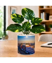 Artificial Tree Ceramic Photo Pot With White Stones 3x4 Inch (F165094)