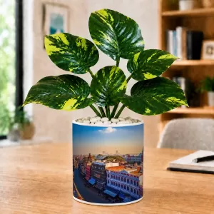 Artificial Tree Ceramic Photo Pot With White Stones 3x4 Inch (F165094) Artificial Tree Ceramic Photo Pot With White Stones 3x4 Inch (F165094)