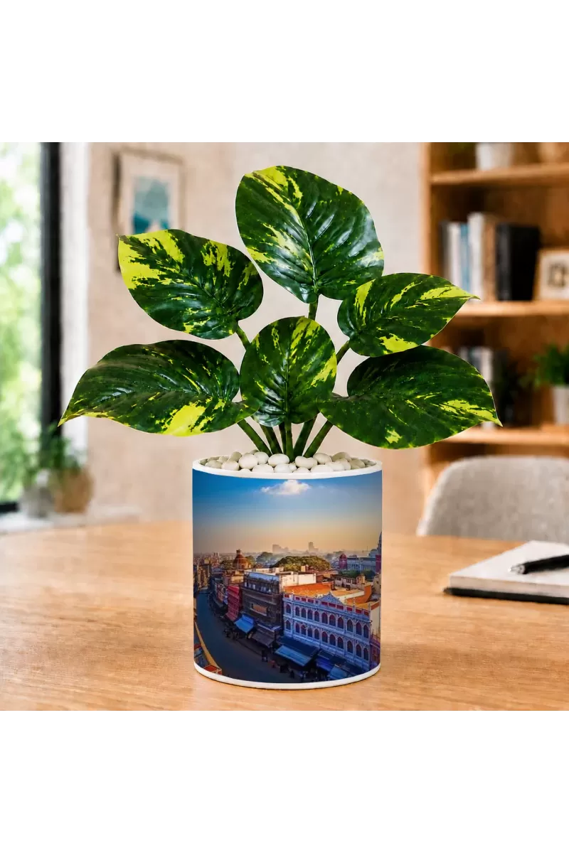 Artificial Tree Ceramic Photo Pot With White Stones 3x4 Inch (F165094)