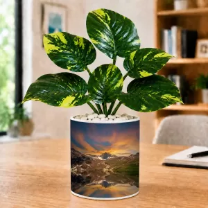 Artificial Tree Ceramic Photo Pot With White Stones 3x4 Inch (F165103) Artificial Tree Ceramic Photo Pot With White Stones 3x4 Inch (F165103)
