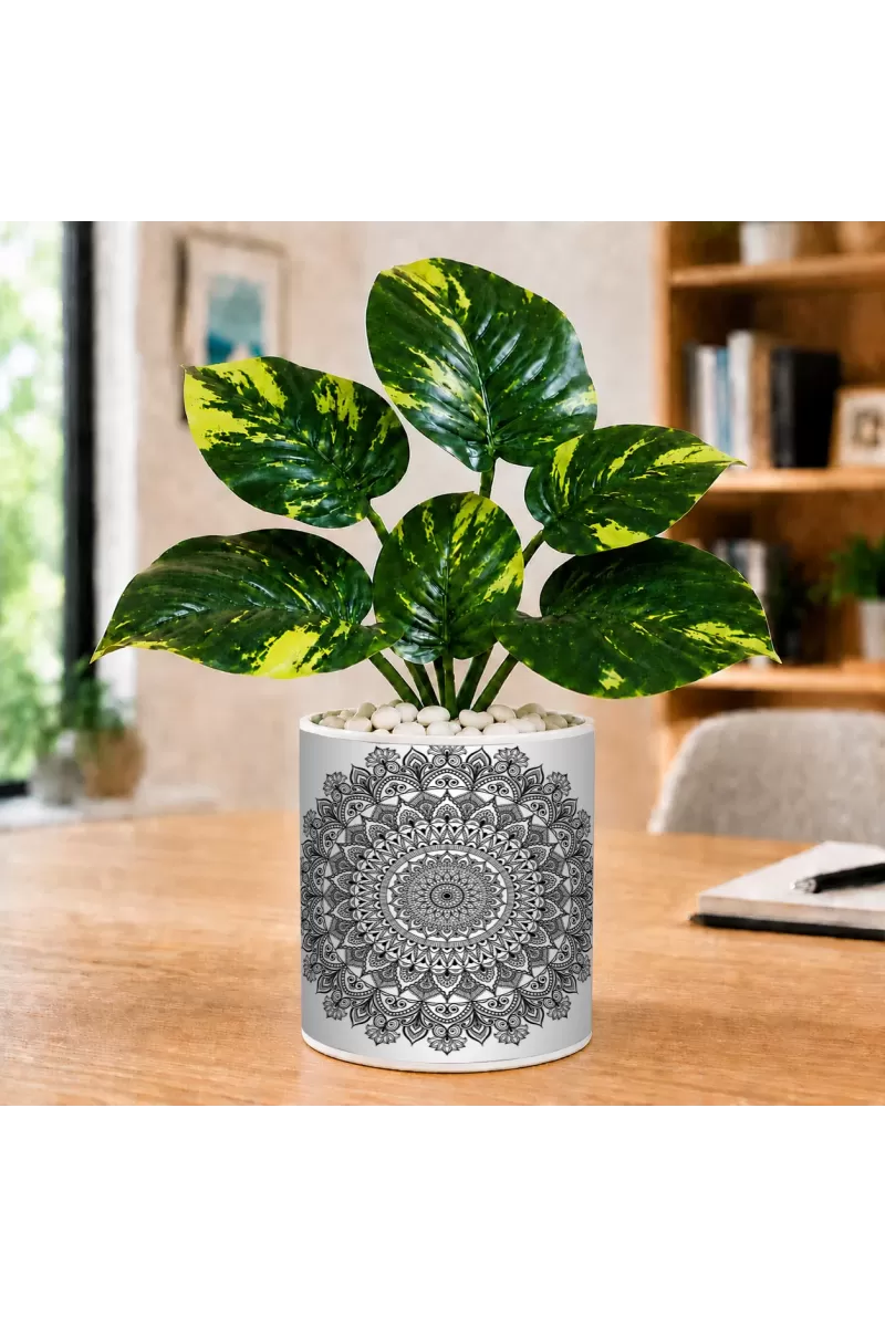 Artificial Tree Ceramic Photo Pot With White Stones 3x4 Inch (F165107)