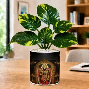Artificial Tree Ceramic Photo Pot With White Stones 3x4 Inch (F165111) Artificial Tree Ceramic Photo Pot With White Stones 3x4 Inch (F165111)