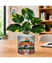 Artificial Tree Ceramic Photo Pot With White Stones 3x4 Inch (F165133)