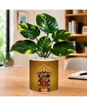 Artificial Tree Ceramic Photo Pot With White Stones 3x4 Inch (F165155)