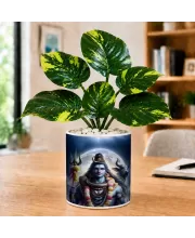 Artificial Tree Ceramic Photo Pot With White Stones 3x4 Inch (F165163)