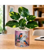 Artificial Tree Ceramic Photo Pot With White Stones 3x4 Inch (F165167)